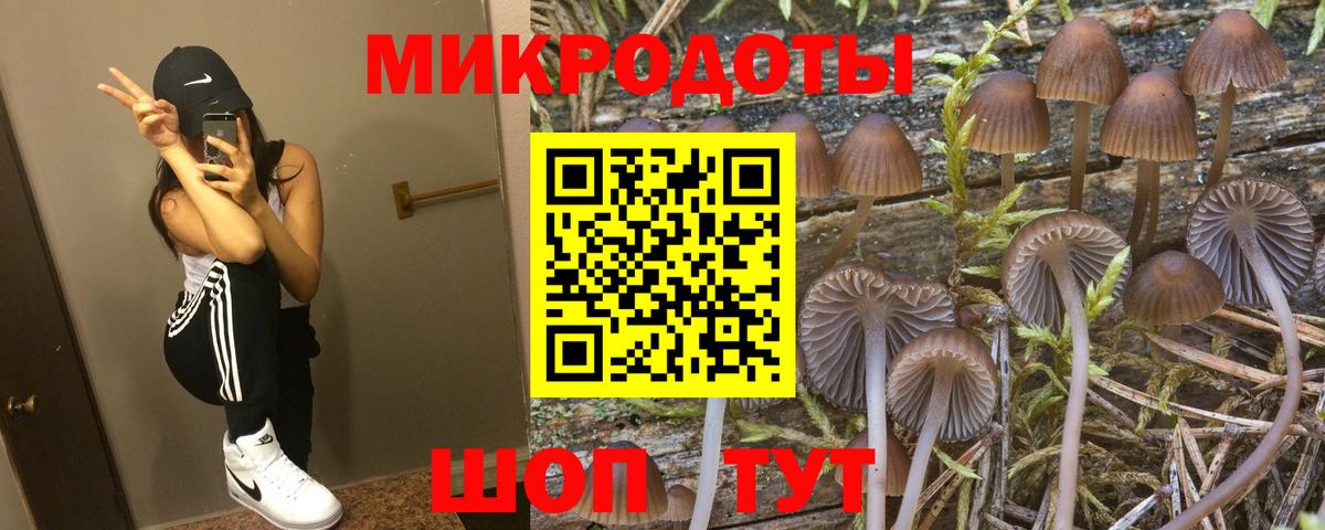 дарнет шоп  Вход с VPN  Сатка  Галлюциногенные грибы Cubensis  Галлюциногенные грибы GOLDEN TEACHER 